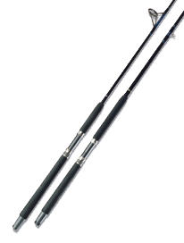 Inshore Rods